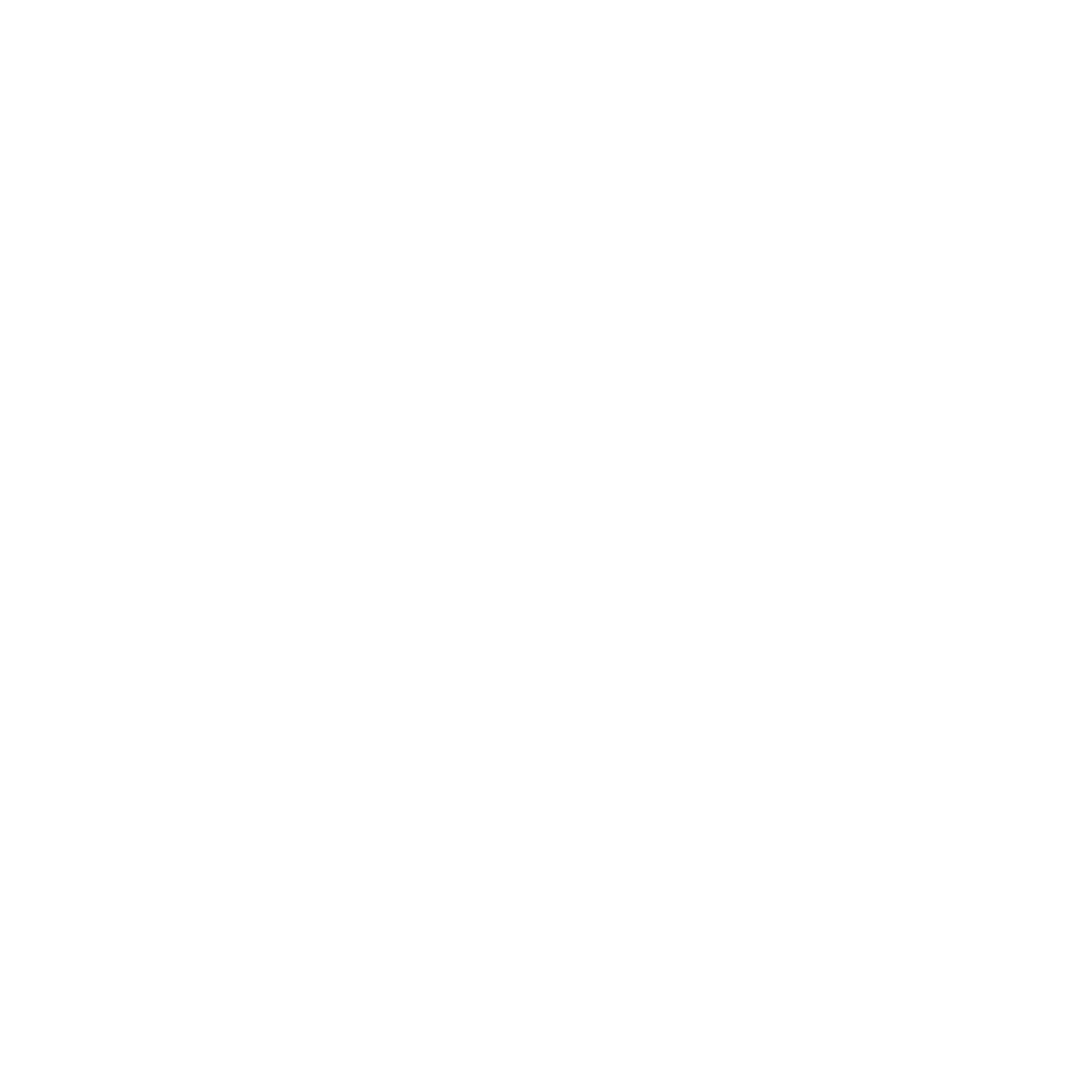 AVIN Group Logo